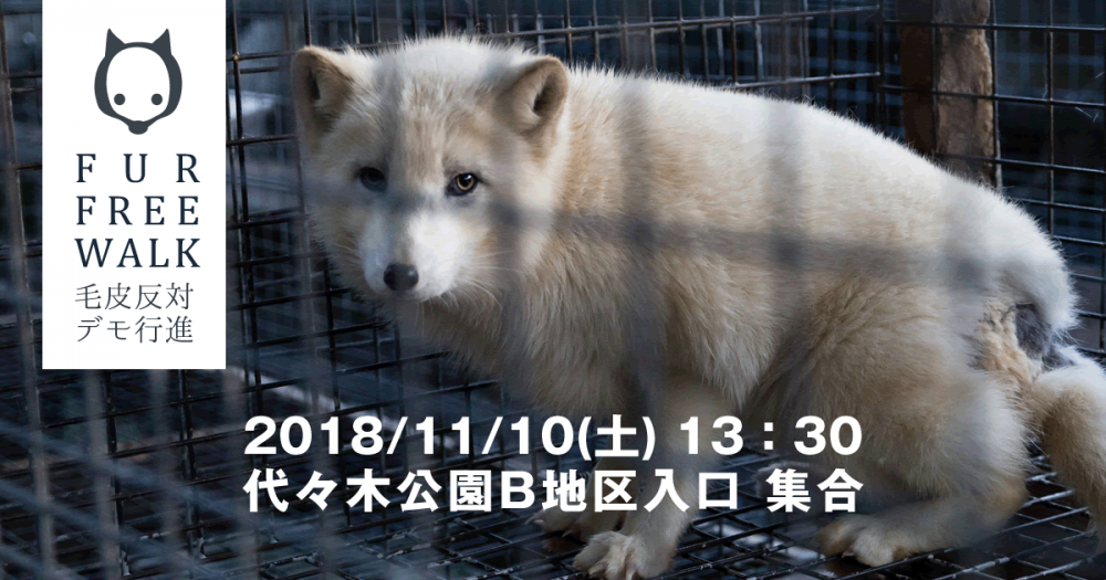 FUR FREE WALK 毛皮反対デモ行進＠東京」は、今年が最後。次のステップ